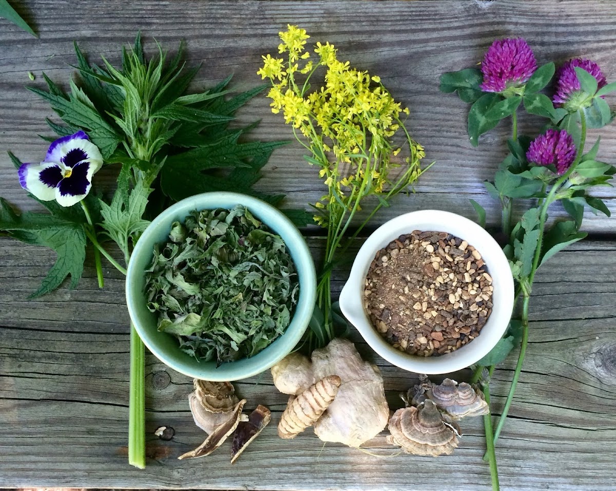 New York Holistics